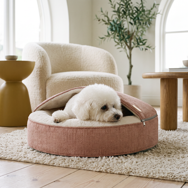 ZNOOZ Macaron Bed for Small Dogs