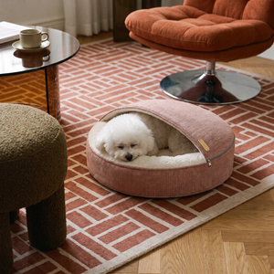 ZNOOZ Macaron Bed for Small Dogs