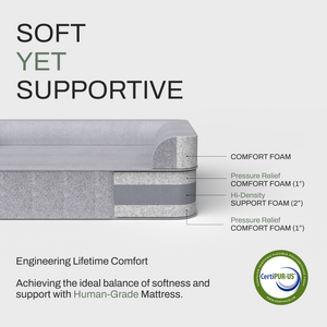 ZNOOZ MagZnap™ Dog Bed