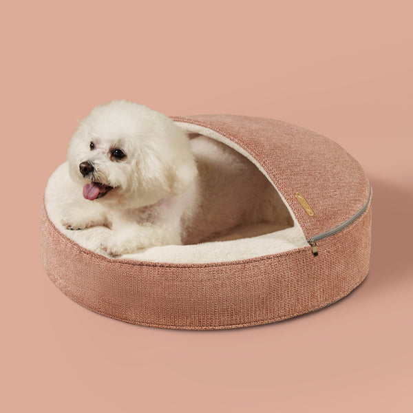 ZNOOZ Macaron Bed for Small Dogs