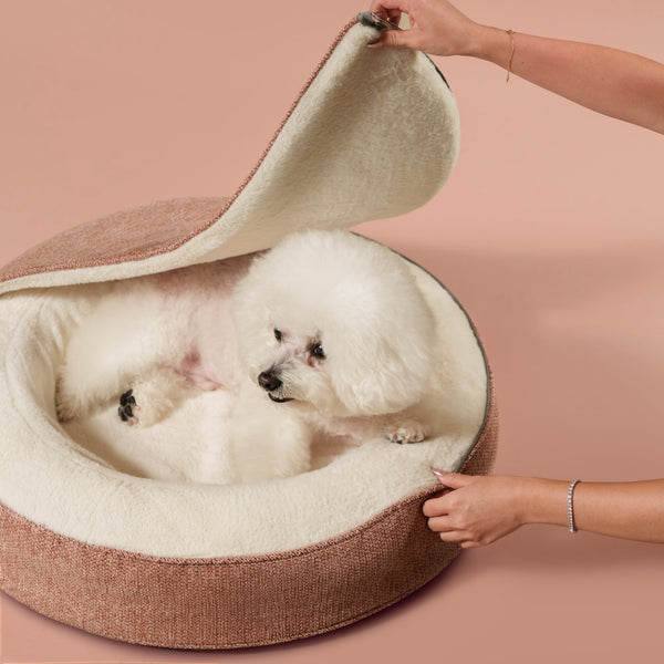 ZNOOZ Macaron Bed for Small Dogs