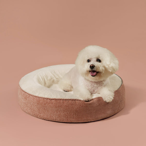 ZNOOZ Macaron Bed for Small Dogs
