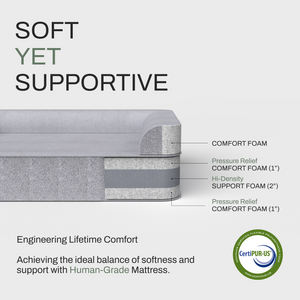 ZNOOZ MagZnap™ Dog Bed