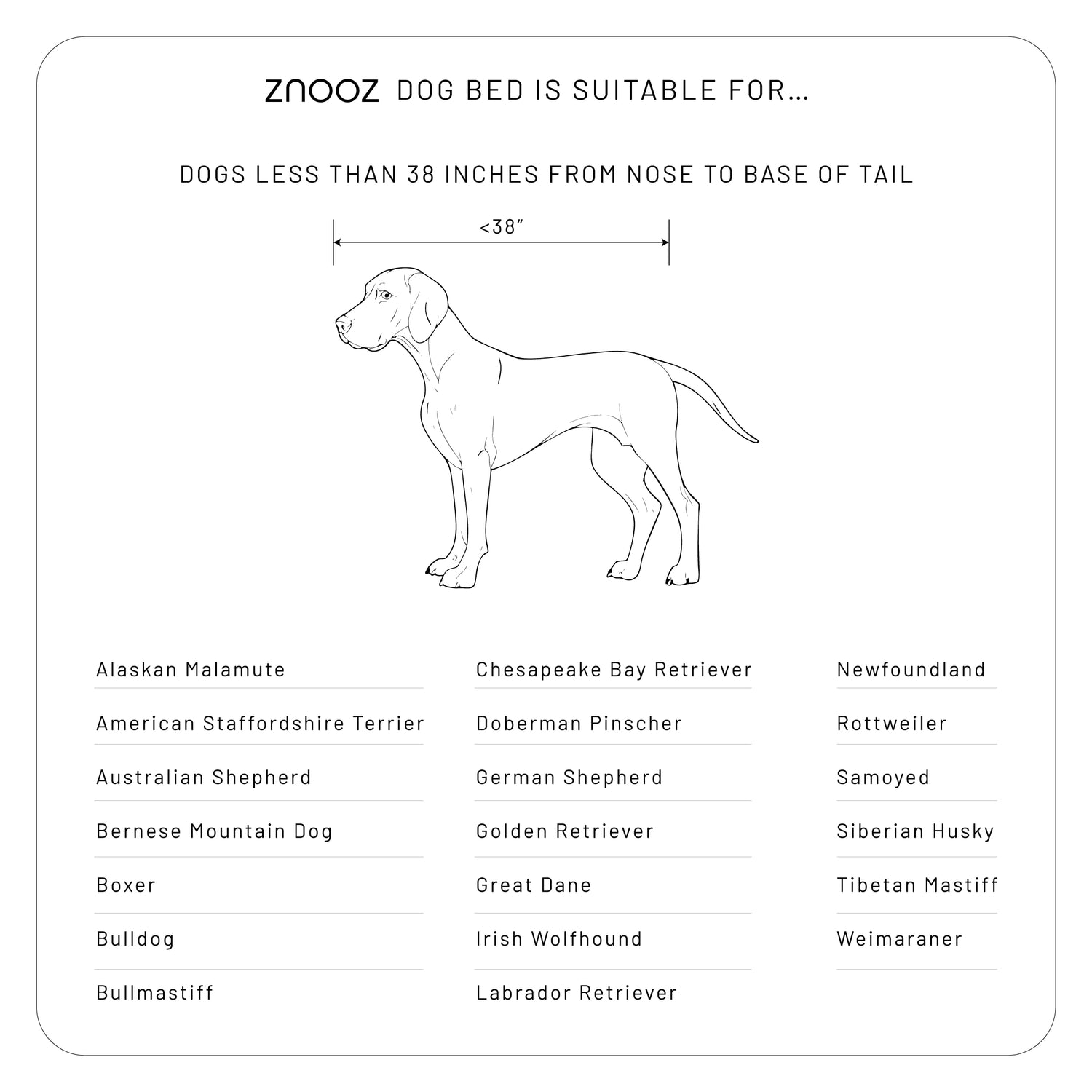 ZNOOZ Orthopedic Dog Bed - Special Edition