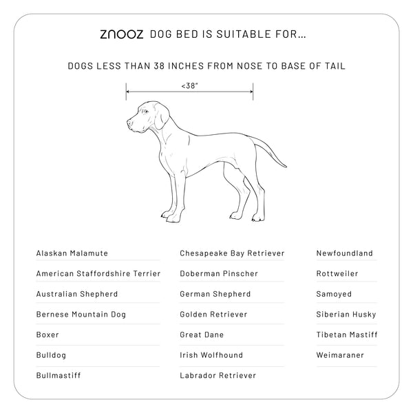 ZNOOZ Orthopedic Dog Bed