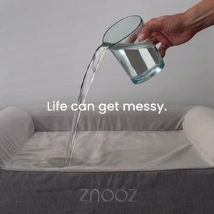 ZNOOZ Orthopedic Dog Bed