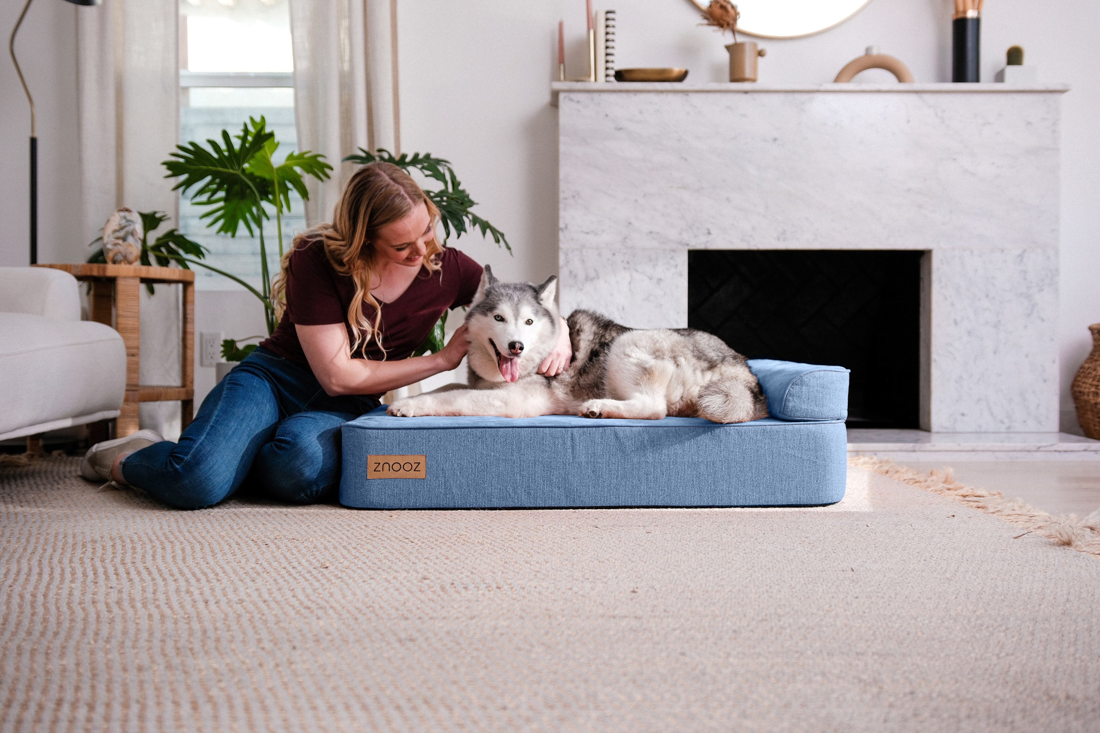 ZNOOZ Orthopedic Dog Bed