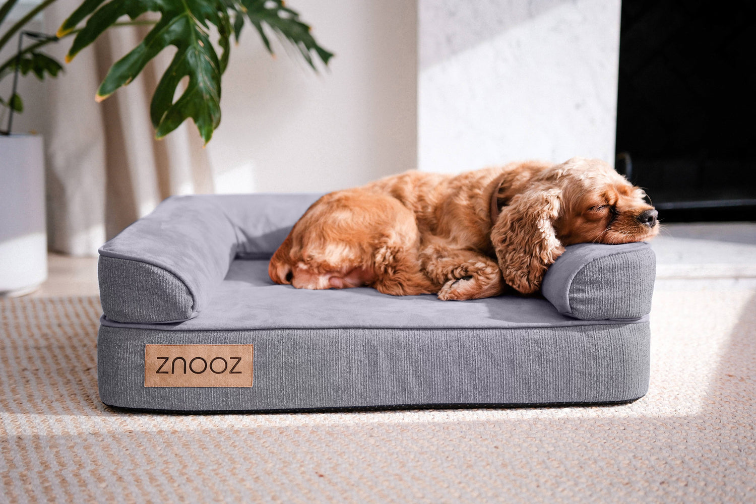 ZNOOZ MagZnap™ Dog Bed