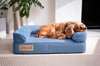 ZNOOZ MagZnap™ Dog Bed